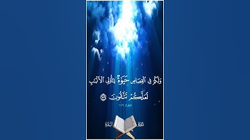 ولكم في القصاص حياة يا أولي الألباب لعلكم تتقون - سورة البقرة آية 179 - بصوت المنشاوي