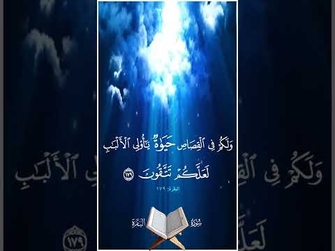 ولكم في القصاص حياة يا أولي الألباب لعلكم تتقون سورة البقرة آية 179 بصوت المنشاوي