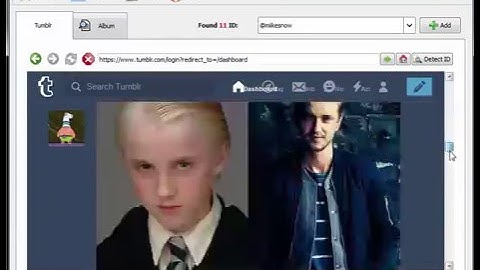 How to download all photos and videos of tumblr blog?