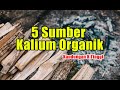 5 sumber kalium organik kandungan npk tinggi