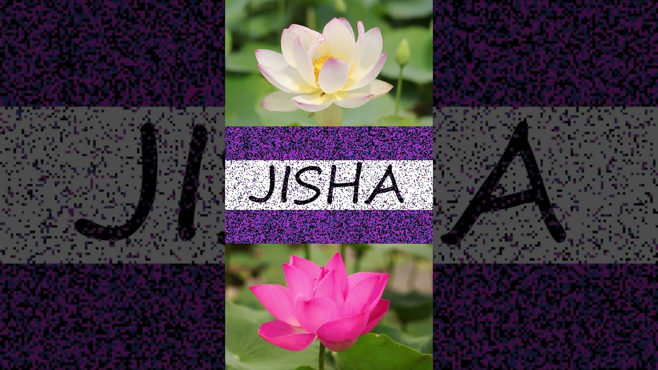 🌷 JISHA 🌷  | JISHA Lotus Status | JISHA - Peace