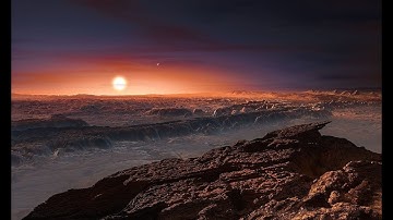 Standing on Proxima b - Closest Exoplanet to the Earth