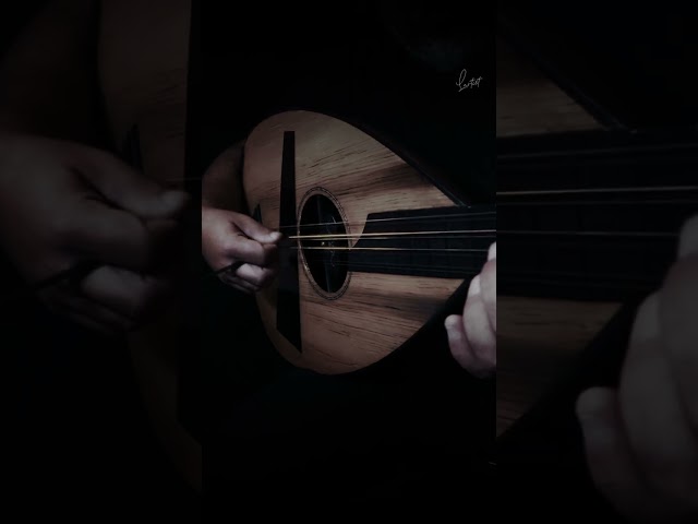 Σκορδαλός - Μουντάκης. Λαούτο Κρητικό