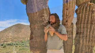 Innato flute in A minor