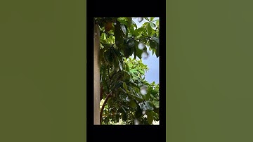 سوره الأنبياء ❤️🤍❤️