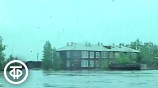 Наводнение в Тюменской области. Новости. Эфир 19 мая 1979