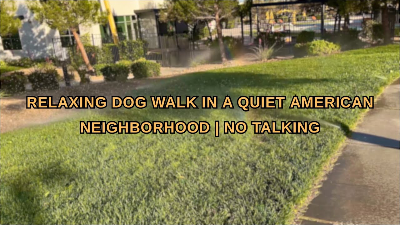 Relaxing Dog Walk in a Quiet American Neighborhood | No Talking