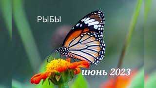 Прогноз на июнь 2023 Рыбы