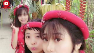-PHAI DẤU CUỘC TÌNH =NHẠC HOA REMIX -PHAI DẤU CUỘC TÌNH =NHẠC HOA REMIX