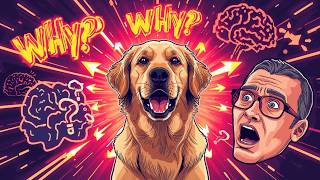 7 Dog Behaviors Science Just Explained (You'll Be Shocked)