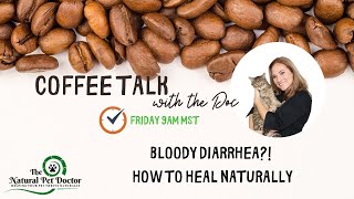 Home Remedies to Naturally Treat Bloody Diarrhea in Dogs and Cats with Holistic Veterinarian How To Stop Blood In Your Dogs Stool Best Proven Remedy