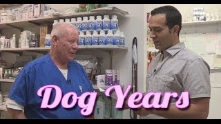 Dog Years  How to Calculate Dog Years  Ask the Expert | Dr David Randall