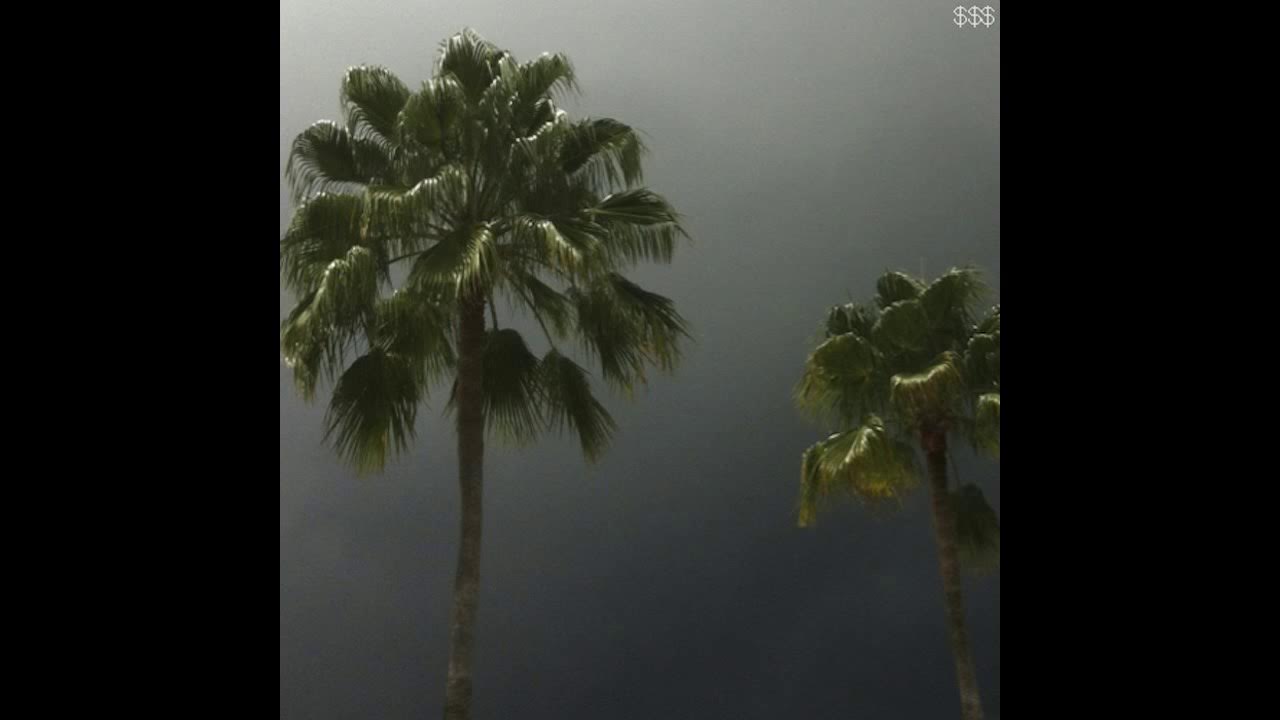 $uicideboy$ X Pouya - Runnin' Thru the 7th with My Woadies $uicideboy$ X Pouya - Runnin' Thru the 7th with My Woadies