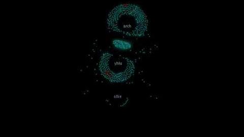 coreboot v2 codeswarm