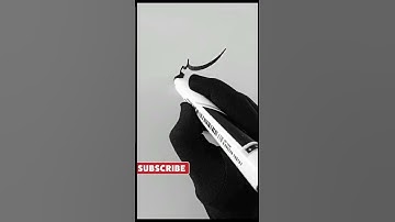 Shabnam name in Urdu #shorts #youtubeshorts #calligraphymasters #urducalligraphy #writeurdu