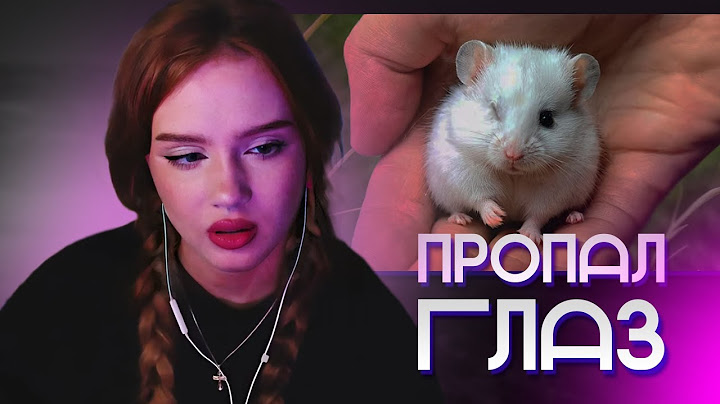 АРИША СМОТРИТ: У ДЕТЕНЫША ХОМЯКА ИСЧЕЗ ГЛАЗИК | SlivkiShow