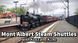 Last ever steam train at the old Mont Albert and Surrey Hills Stations | Steamrail Victoria