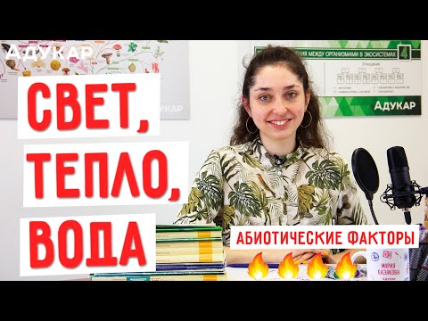 Свет, тепло, вода как абиотические факторы | Биология ЦТ, ЕГЭ