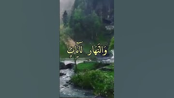 تلاوة تقشعر لها الابدان للشيخ محمد السايح #القرآن_الكريم #كنوز_القرآن