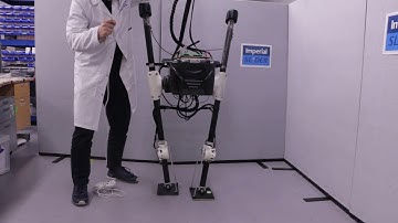 SLIDER - beginning to walk