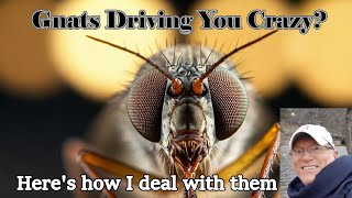 GOT PESTS? Terrarium and Aquascape Pest Control: The Best Ways to Stop Gnats ~Tips That Work!