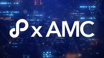 AMC Attribution Insights powered by Perpetua