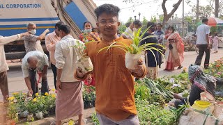 পয়লা বৈশাখ দিনের গালিফ স্ট্রিট বাজার | Galiff Street Plants Market Update | Plants Market by Bangla No. 1 886 views 3 weeks ago 4 minutes, 12 seconds