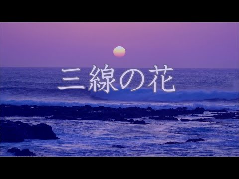 三線　三線の花
