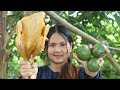 Awesome Cooking Chicken With Feroniella lucida Dilecious Cook Recipe - Yummy Eating Show No Talking