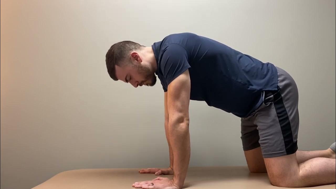 Cervical Retraction in Quadruped + Hold YouTube