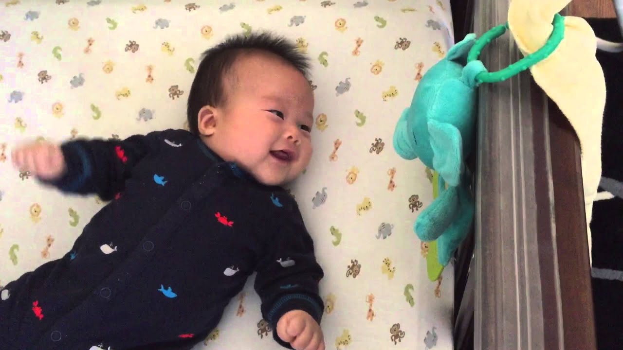 camera iphone 8 plus apk November 2, 2015