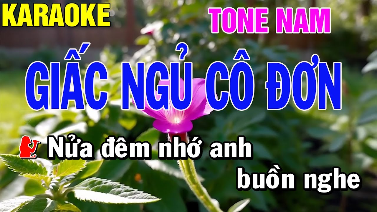 Giấc Ngủ Cô Đơn Karaoke Tone Nam Thái Tài
