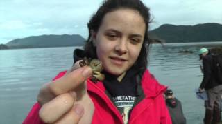 Cutting Edge News, Final Episode, Spring 2016