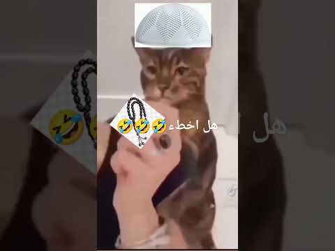 هههه طاهر القلب نقي ذاكر لله