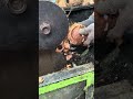 #coconutmachine