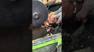 #coconutmachine