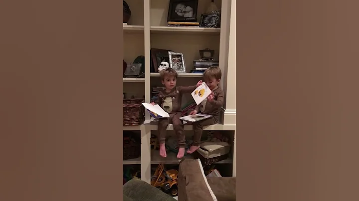 Twins rip books and blame each other #suzannephelps