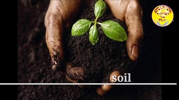soil profile#soil#class7#chapter9