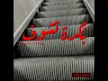 بكره تشوف 