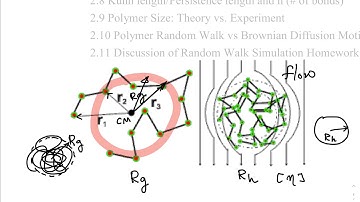 2.3 Radius of Gyration of Polymers