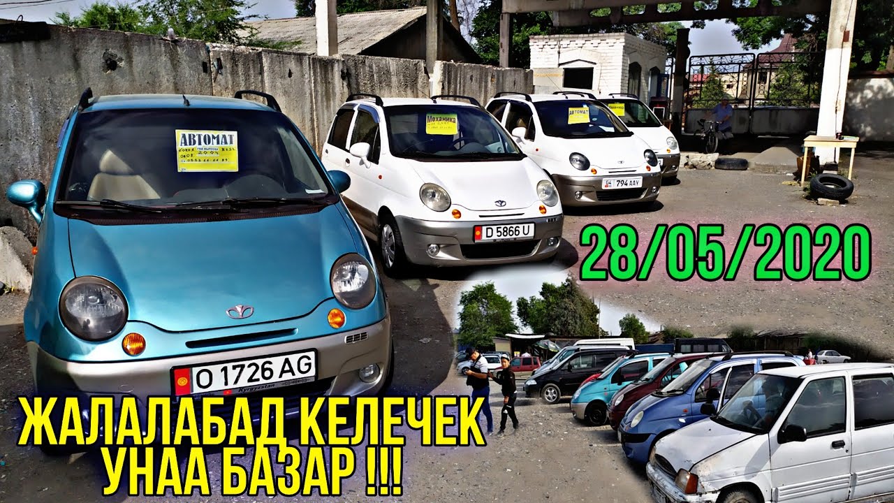 Мау дэу тарбагатай