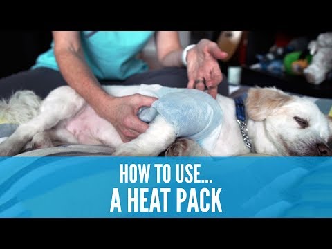 How to use a Heat Pack (How To 影片系列-熱敷暖包)