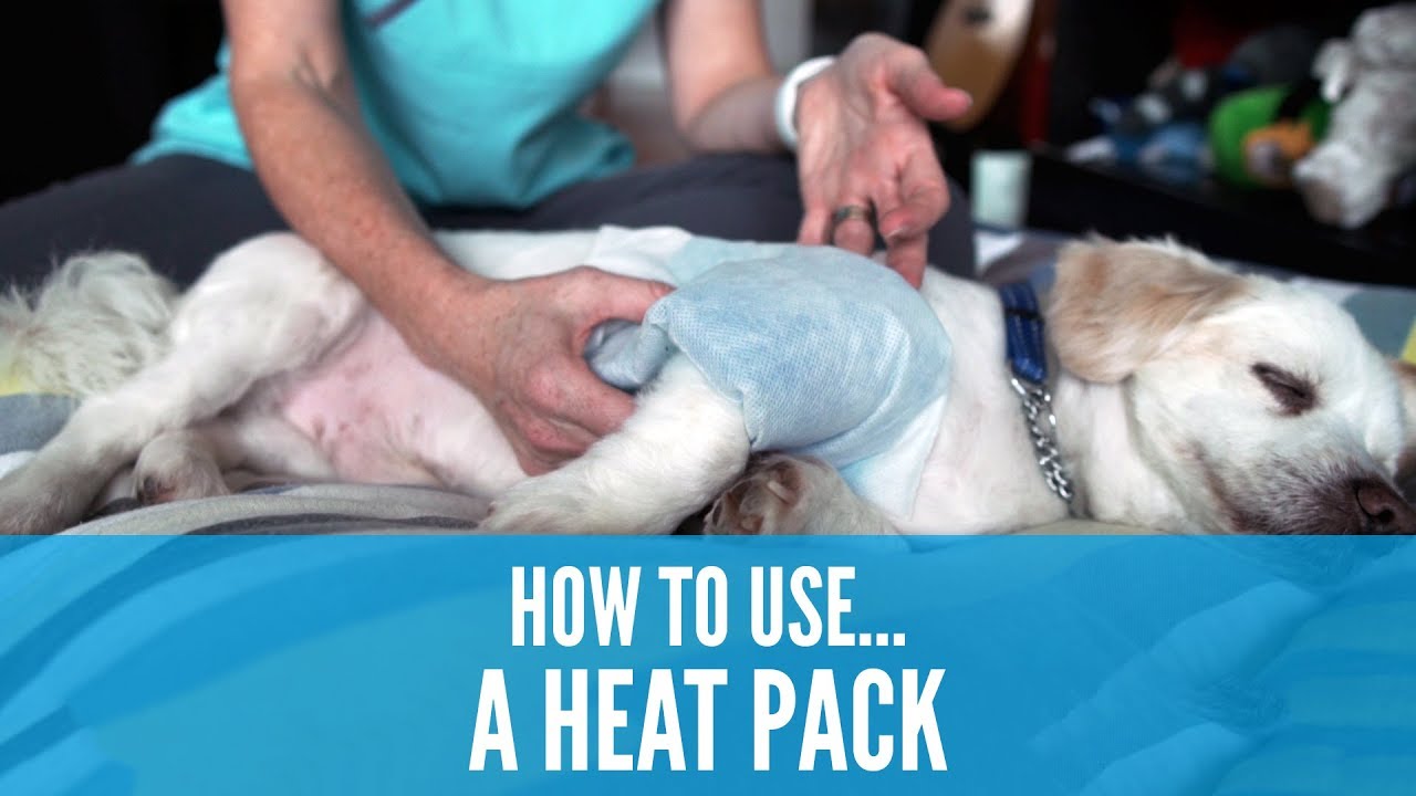 How to use a Heat Pack (How To 影片系列熱敷暖包) YouTube