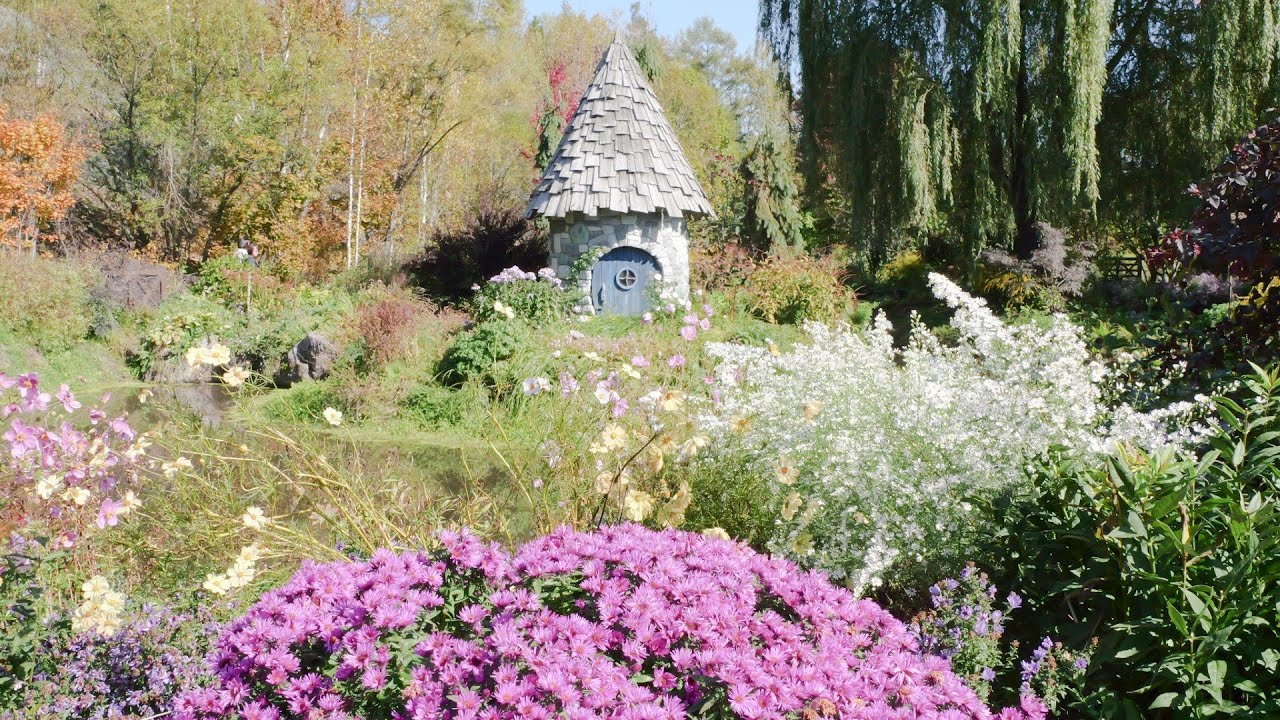 上野ファーム　2025.10.14　秋色のお花がいっぱい！！　しほの旅日記　北海道旭川市