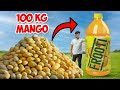 100 kg mango  how much frooti 