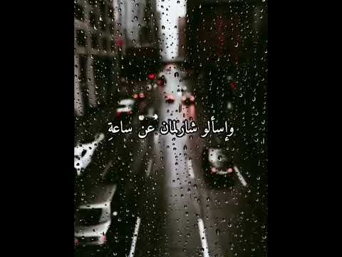 احنا العرب مقدمة الشوالي في افتتاح كأس العالم قطر 2022 Shorts Sports