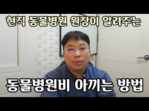 현직 동물병원 원장이 알려주는 병원비 아끼는 방법