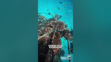 Advanced Diver Program - Scuba Diving International - SDI