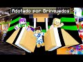 GAHMARIN FOI ADOTADO POR BRINQUEDOS NO MINECRAFT!