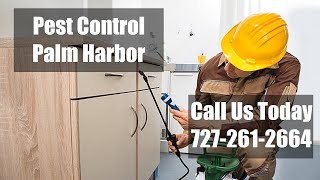 Palm Harbor FL Pest Control - Residential Termite Control & Bed Bug Treatment 24 Hr Exterminator
